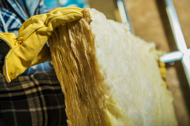 Best DIY Insulation Kits and Guidance in Bucyrus, OH