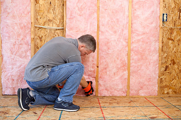 Best Eco-Friendly Insulation in Bucyrus, OH