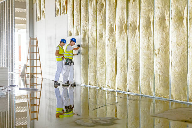 Best Geographic-Specific Insulation Services in Bucyrus, OH
